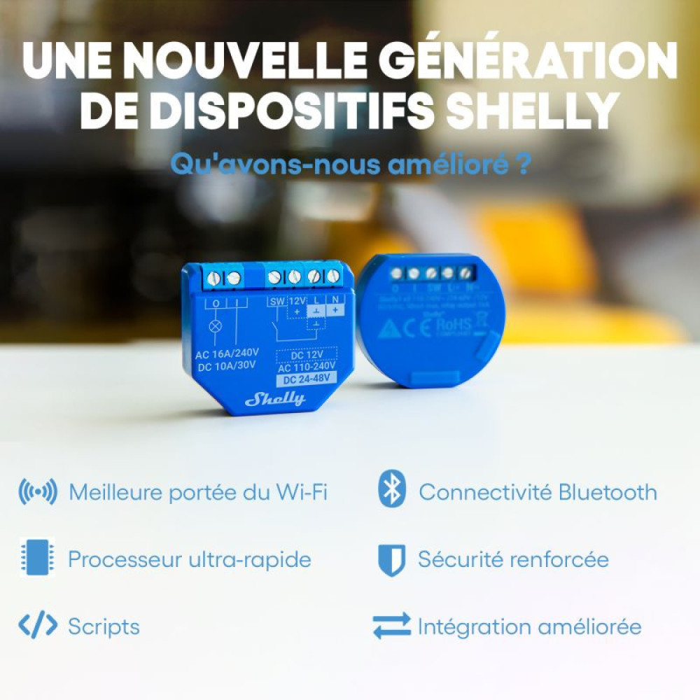 La Nouvelle Génération de Shelly est Arrivée !