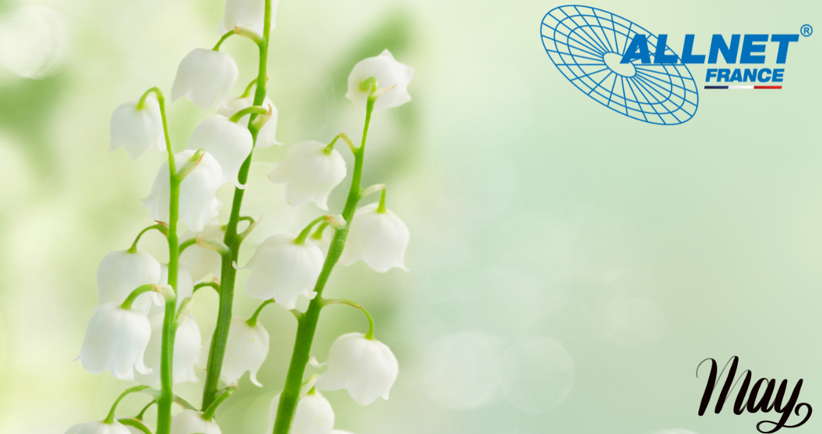 🌸 Malgré les ponts du mois de mai, vos commandes continuent chez ALLNET France ! 🌸
