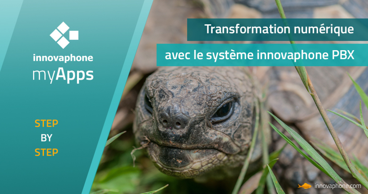 L'arrêt du réseau cuivre approche à grands pas. Et si cette contrainte devenait une opportunité stratégique pour votre entreprise ?
